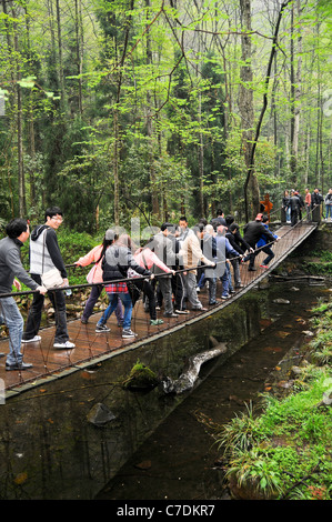 Touristen auf der Drehbrücke, goldene Peitsche Stream, Wulingyuan Forest Nationalpark, Zhangjiajie, China Stockfoto