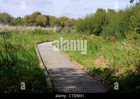 Winnal Mauren Naturschutzgebiet entlang der Flussaue der Fluss Itchen im Nord-Osten von Winchester, Hampshire, England Stockfoto