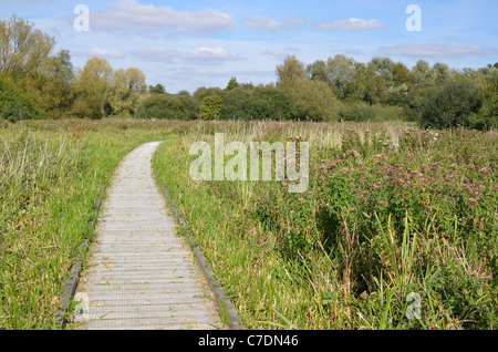 Winnal Mauren Naturschutzgebiet entlang der Flussaue der Fluss Itchen im Nord-Osten von Winchester, Hampshire, England Stockfoto