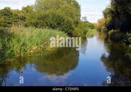 Winnal Mauren Naturschutzgebiet entlang der Flussaue der Fluss Itchen im Nord-Osten von Winchester, Hampshire, England Stockfoto