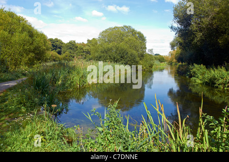 Winnal Mauren Naturschutzgebiet entlang der Flussaue der Fluss Itchen im Nord-Osten von Winchester, Hampshire, England Stockfoto