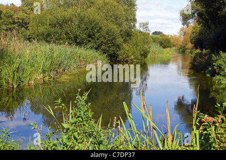 Winnal Mauren Naturschutzgebiet entlang der Flussaue der Fluss Itchen im Nord-Osten von Winchester, Hampshire, England Stockfoto