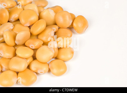 Ein Haufen von Lupinebohnen, Lebensmittel-Hintergrund Stockfoto