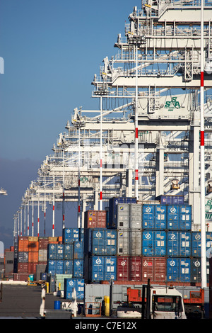 Versand-Krane in einer Reihe mit Container im Hafen von Oakland Stockfoto