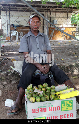 Mann verkaufen Betelnüsse. Buka, Bougainville, Papua New Guinea Stockfoto