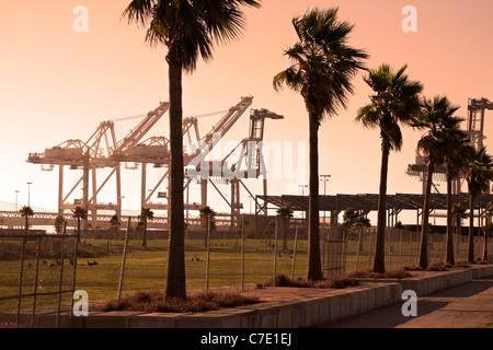 Palmen und Versand Kräne im Hafen von Oakland Stockfoto