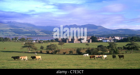 Beaumaris Castle mit Menai Strait und Snowdonia im Hintergrund Isle of Anglesey North Wales UK Stockfoto