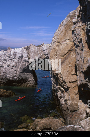 Meer Kajakfahrer unterhalb Bwa Gwyn Natural Meer Felsbogen in Klippen in der Nähe von Rhoscolyn Isle of Anglesey North Wales UK Stockfoto