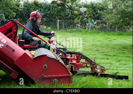 Selbstfahrende Cider Apple-Erntemaschine, Apfelwein Appels vom Boden zu sammeln. Stockfoto