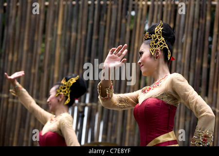 Dank Festival aus Bandung, Indonesien Stockfoto