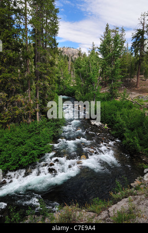 Schnelle Strömung des San Joaquin River in der Nähe von den Devils Postpile National Monument. Kalifornien, USA. Stockfoto