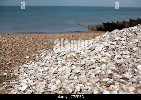 Haufen von Austernschalen am Strand in Whitstable, Großbritannien. Stockfoto