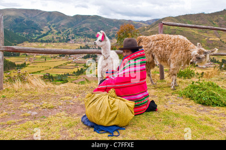 Peruanische Frau in bunten Trachten Sitz mit hier Alpakas in der Nähe eines Dorfes im Heiligen Tal, Peru Stockfoto