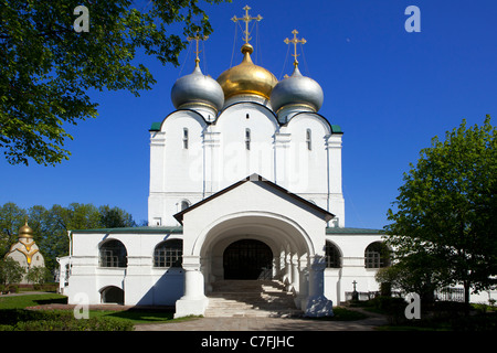 Kathedrale unserer Dame von Smolensk auf dem Nowodewitschi-Kloster in Moskau, Russland Stockfoto