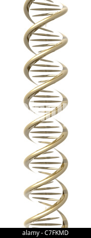 3D gerendert Doppelhelix / DNA. Stockfoto