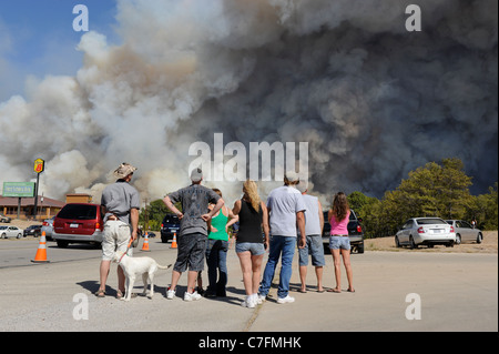 Bastrop, Texas Bewohner sehen Sie Rauch Woge in den Himmel von ein Lauffeuer brennen durch eine ländliche Waldgebiet östlich der Stadt. Stockfoto