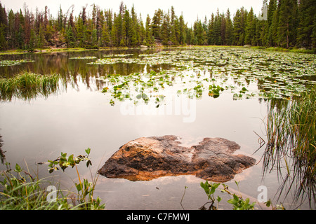 Nymphe See, Rocky Mountain Nationalpark, Colorado Stockfoto