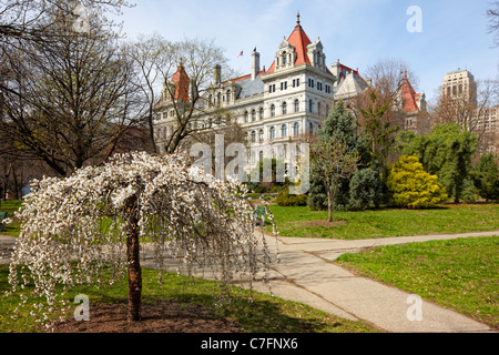 Kapitol, Albany, New York, USA Stockfoto