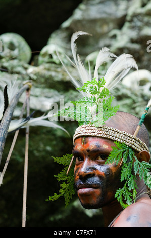 Indonesien, Neuguinea, Sektor SENGGI - der Krieger eines Papua Stammes von Jafi in traditioneller Kleidung, Schmuck und Färbung. Stockfoto