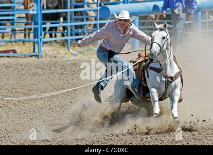 Konkurrent während das Kalb Tie-Down-Ereignis des Rodeo statt im Fort Hall-Reservat in Idaho. Stockfoto