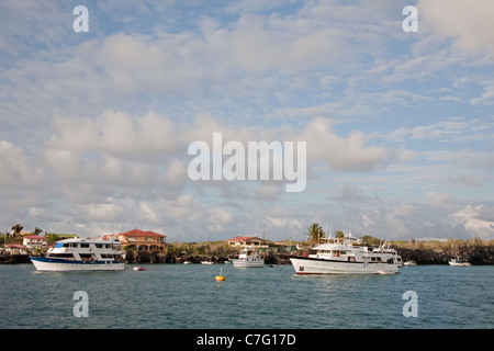 Kreuzfahrtschiffe ankern in Puerto Ayora auf Santa Cruz Island auf den Galapagos-Inseln Stockfoto