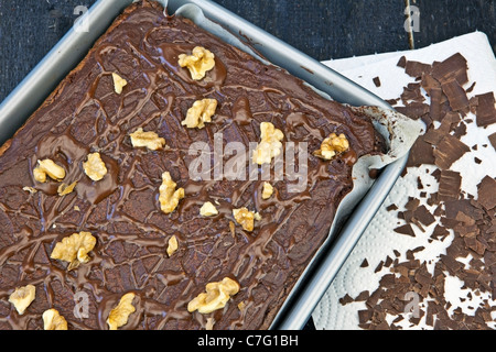 eine Auflaufform mit gebackenen Brownies Brownies dekoriert mit Walnüssen Stockfoto