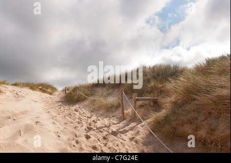 Pfad führt durch die Sanddünen zum Schutz von Erosion der Dünen vom Fuß fallen Dünengebieten Gras Stockfoto