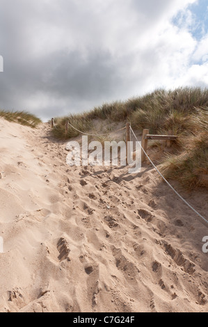 Pfad führt durch die Sanddünen zum Schutz von Erosion der Dünen vom Fuß fallen Dünengebieten Gras Stockfoto