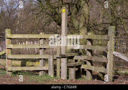 Hölzernen Stil mit Hundegitter Stockfoto