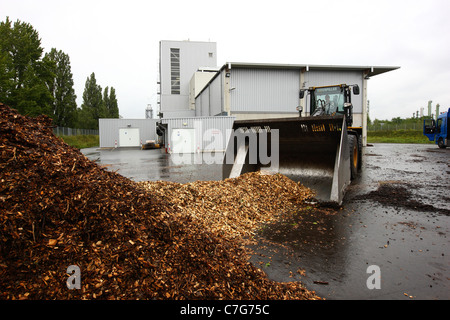 Biomasse-Kraftwerk. Verbrennungen Altholz zur Warmwasserbereitung für den Betrieb einer Dampfturbine zur Stromerzeugung. Stockfoto