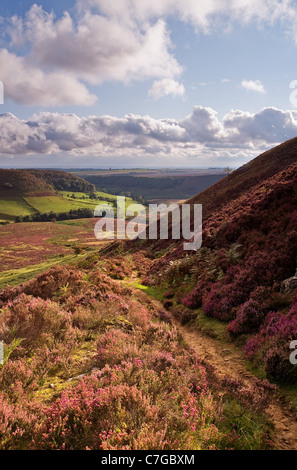 Ein Blick auf einen Weg nach unten das Loch Horcum, in der Nähe von Levisham Stockfoto