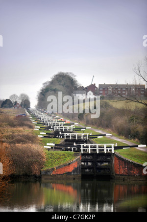 Re British Waterways Ökologen abtropfen lassen die Seite Teiche von Caen Hill Lock Flug in der Nähe von Devizes, Wiltshire, überfüllten Fis zu entfernen Stockfoto