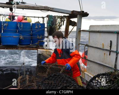 dh CRAB UK Fischer auf Fischerboot Einstellung Hummer Krabbenkrebse creel pot pots schottland Stockfoto