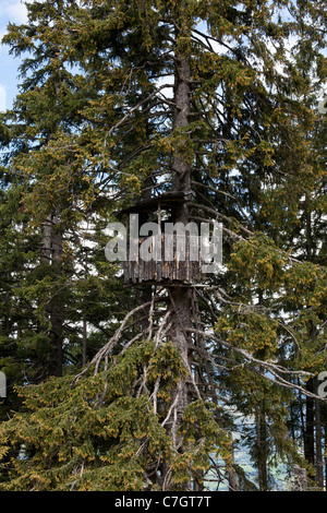 Ein Baumhaus in einem Baum Stockfoto