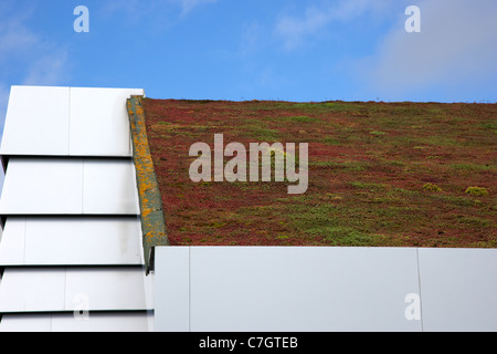 abfallenden Sedum Grasdach über eine öffentliche Dienstleistungen Gebäude in Letterkenny Grafschaft Donegal, Republik Irland Stockfoto