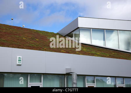 abfallenden Sedum Grasdach und Lichtkuppeln auf eine öffentliche Dienstleistungen Gebäude in Letterkenny Grafschaft Donegal, Republik Irland Stockfoto
