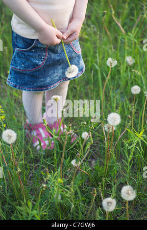 Ein junges Mädchen hält ein Löwenzahn Standing im Rasen, drei Quartal Länge, niedrige Abschnitt Stockfoto