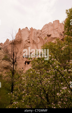 Blickte zu Felsformation mit Fenstern und Türen, in der Nähe von Göreme, Kappadokien, Türkei Stockfoto