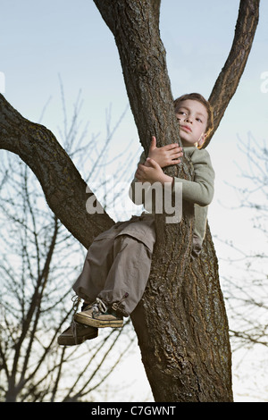 Eine unglückliche Junge sitzt in einem Baum greifen einen Zweig Stockfoto