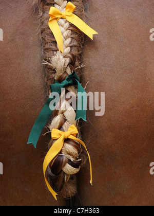 Eine geflochtene und geflochtene Geschichte der Suffolk Punch Pferde, ein traditionelles Handwerk. Stockfoto