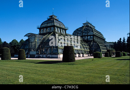 Österreich, Wien, Palmenhaus in Schönbrunn-Garten Stockfoto