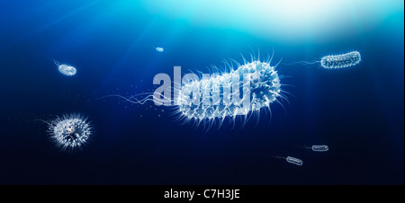 Mikroskopische Ansicht der Bazillen Bakterium durch Körper schwimmen Stockfoto