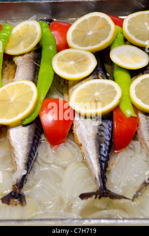 Türkei, Istanbul. Traditionelle türkische Küche. Frischer Fisch mit Zitrone, Zwiebel & Tomate. Stockfoto