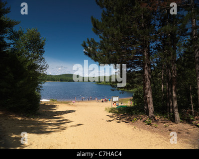 Pfeilspitze Strand Sommer Seenlandschaft am Arrowhead Provincial Park, Ontario, Kanada. Stockfoto