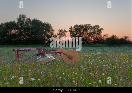 Mähwiese mit Ruderer bei Sonnenuntergang Stockfoto