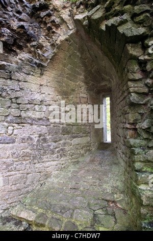 Nunney Castle - eine mittelalterliche Burg in Somerset, England, Großbritannien Stockfoto