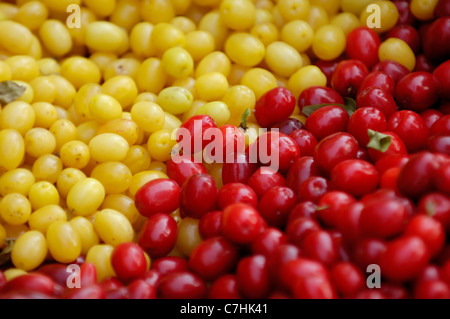 Rote und gelbe Cornelian Cherry - Europäische Cornel Früchte - Cornus Mas Arten Hartriegel. Osteuropa, Ukraine. Stockfoto