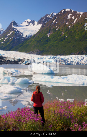 Ein Wanderer genießt die Wildblumen entlang des Sees vor Spencer Gletscher, Chugach National Forest, Alaska. Stockfoto