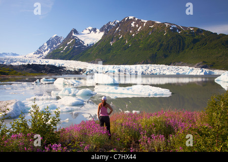 Ein Wanderer genießt die Wildblumen entlang des Sees vor Spencer Gletscher, Chugach National Forest, Alaska. Stockfoto