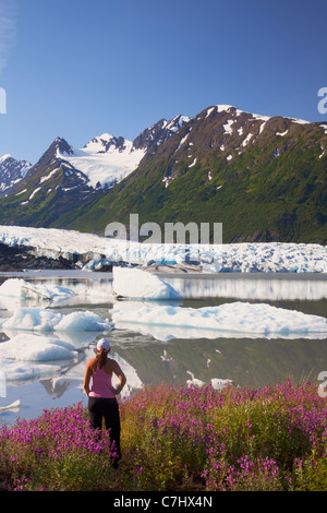 Ein Wanderer genießt die Wildblumen entlang des Sees vor Spencer Gletscher, Chugach National Forest, Alaska. Stockfoto